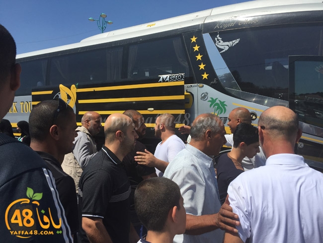 lud mo3tmreajn (16).jpg